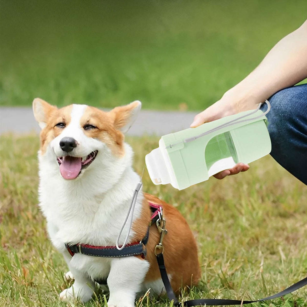 KleverPaw™ 2-in-1 Foldable Pet Water Bottle & Food Dispenser – Large 690ml Leak-Proof Travel Cup for Dogs & Cats